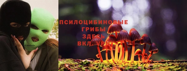 соль ск Бородино