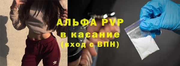 стафф Протвино