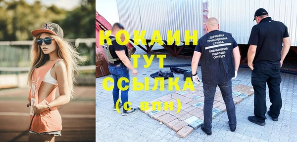 соль ск Бородино