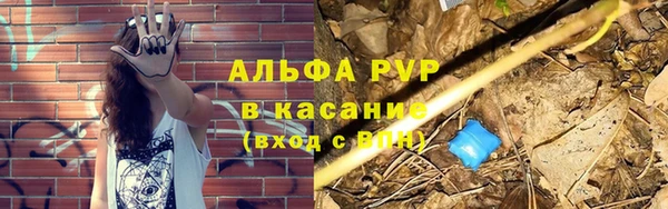соль ск Бородино