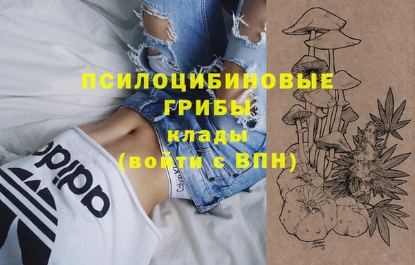 соль ск Бородино